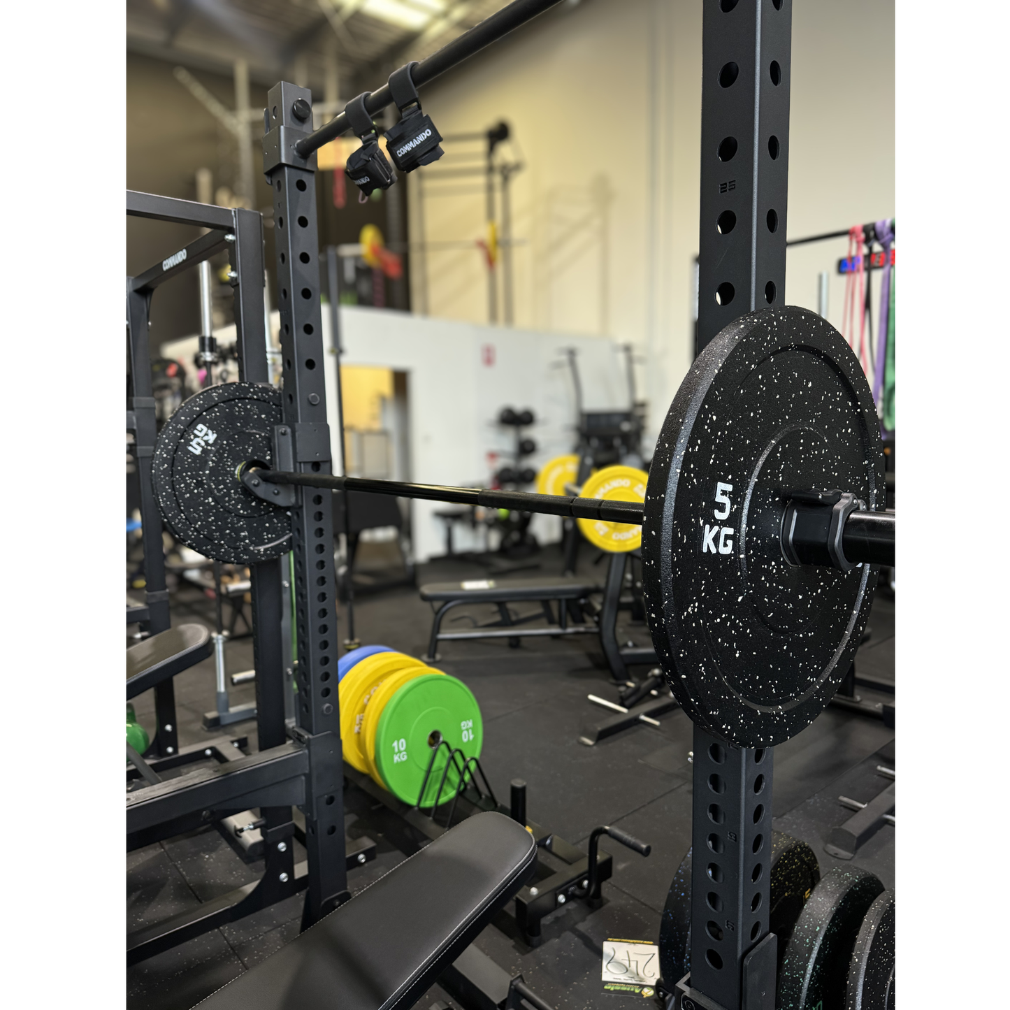 GymKing SR01 Commercial Folding Squat Rack