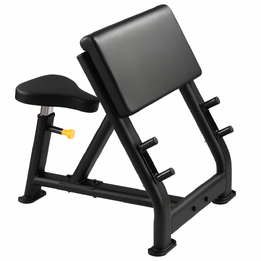 GymKing Commercial Preacher Bench