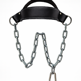 Leather Head Harness