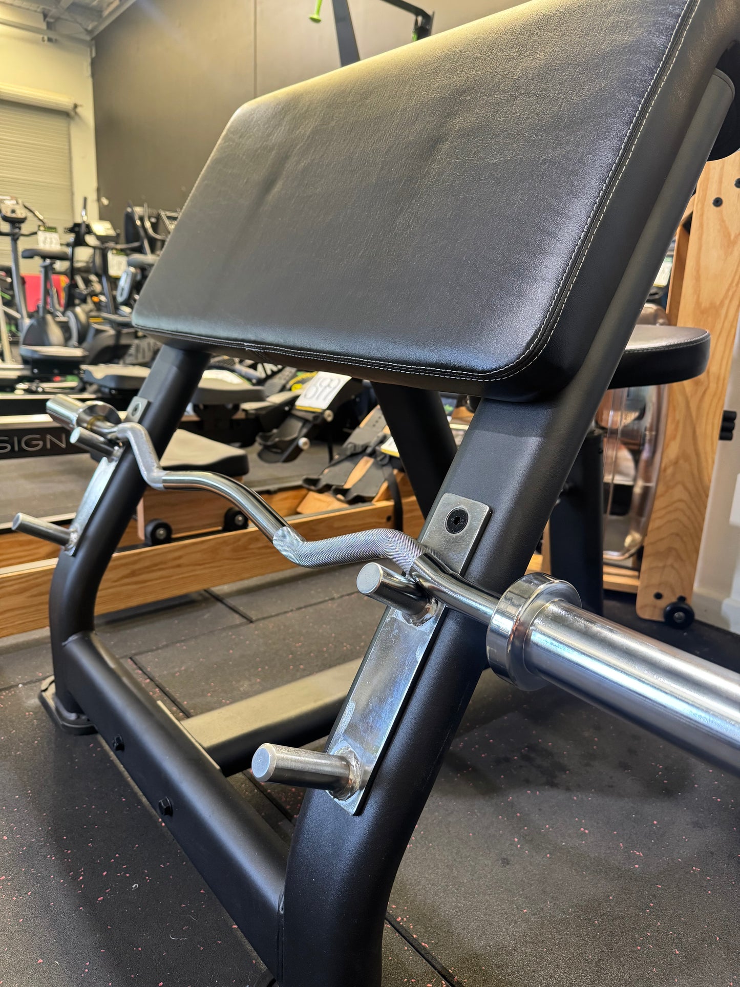 Olympic EZ Curl Barbell