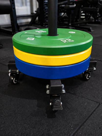 Vertical Bumper Plate Rack