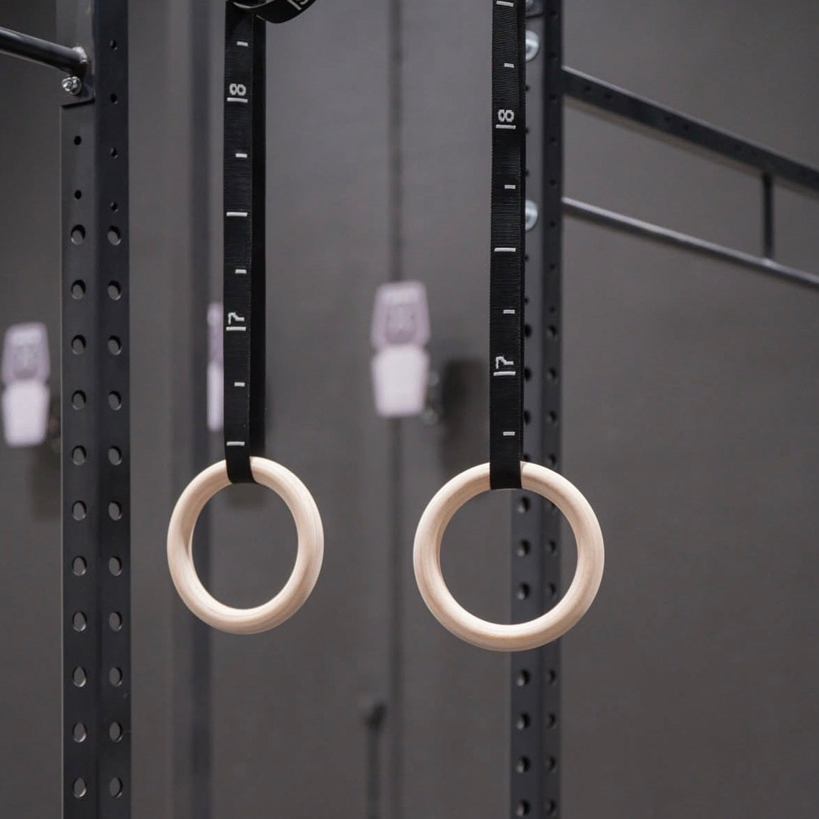 Wooden Gym Rings