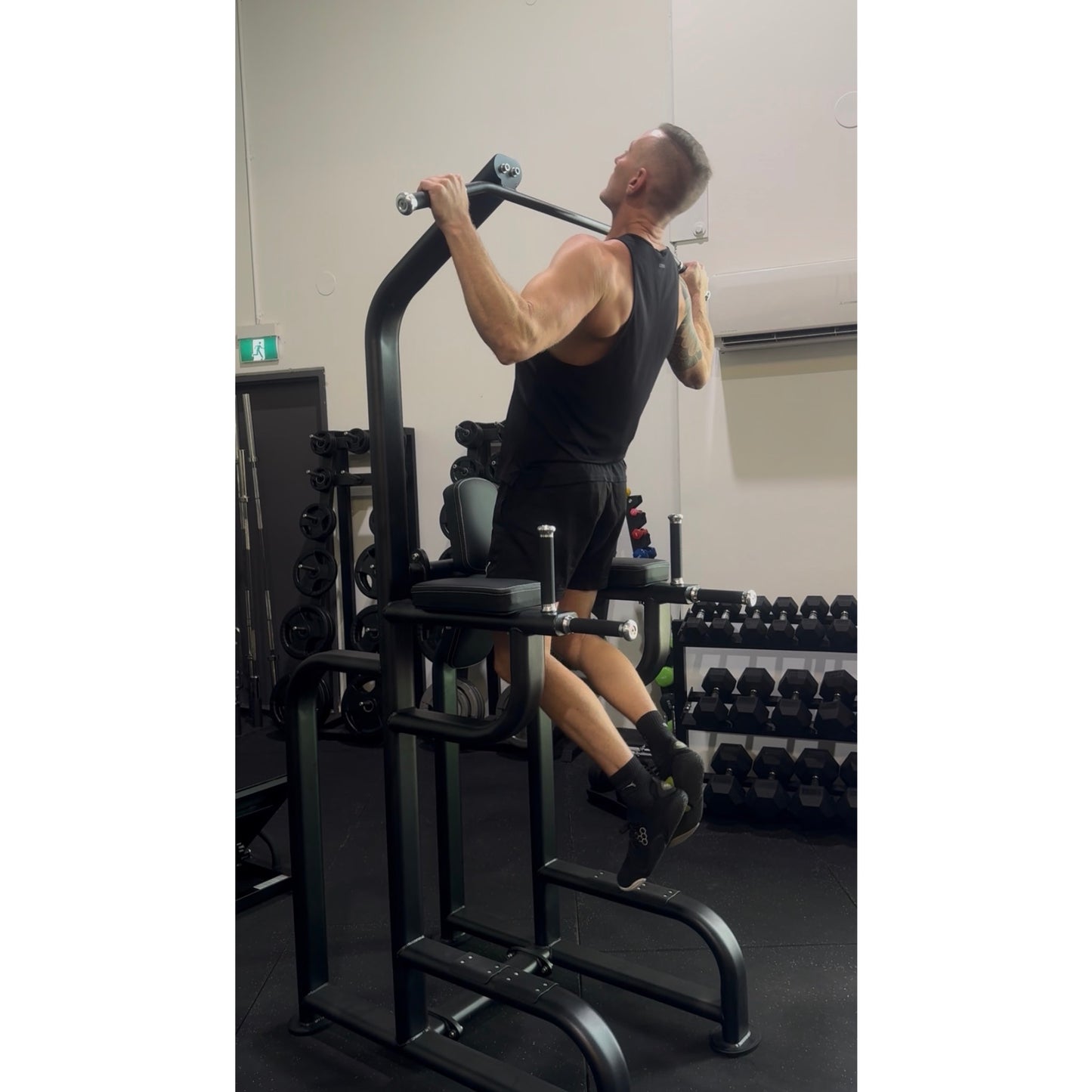 GymKing Victor Series Commercial Power Tower