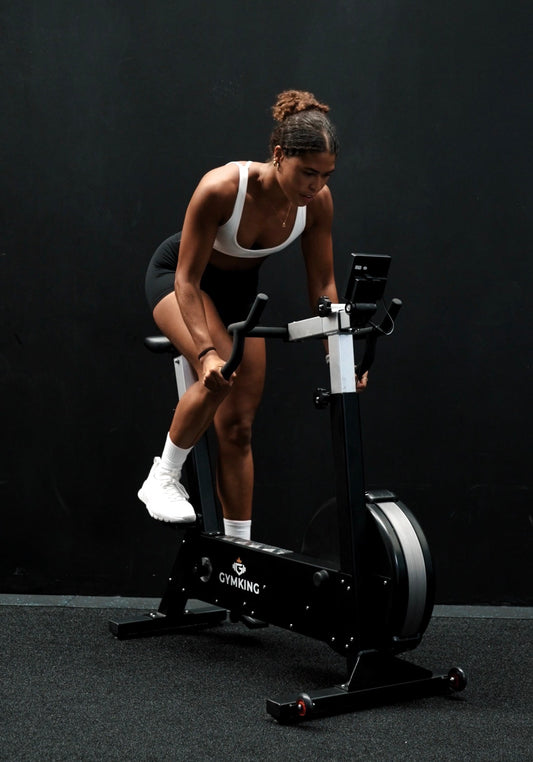 GymKing Commercial Ergo Bike