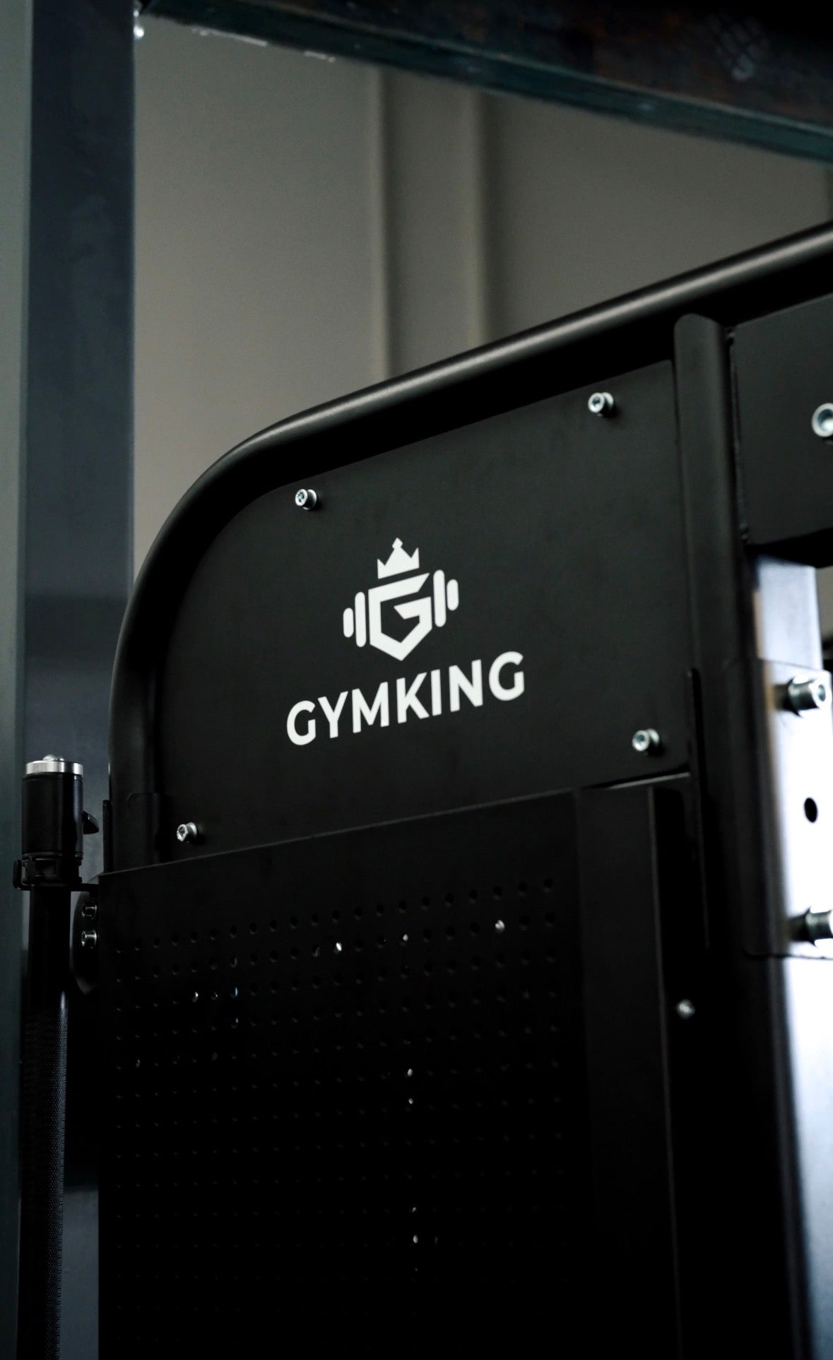 gymking-functional-trainer