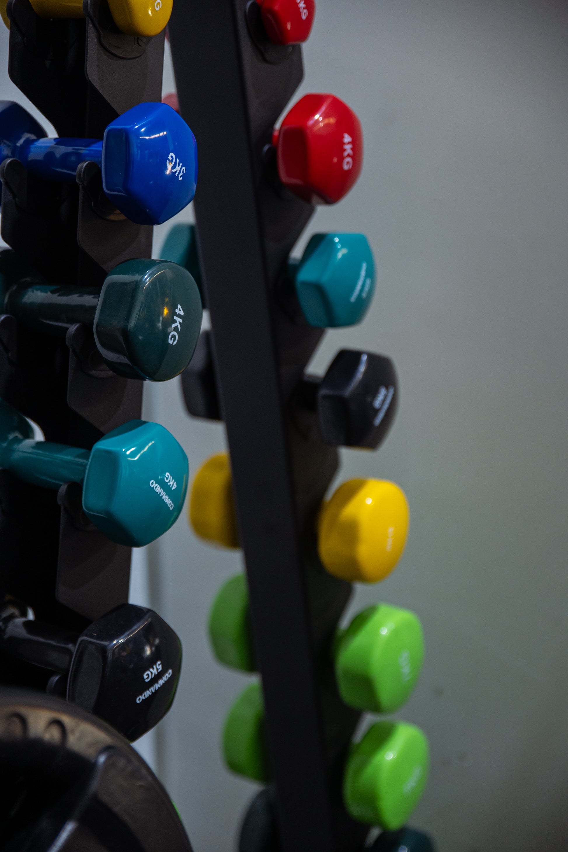 Vinyl Dumbbells
