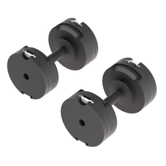 adjustable dumbbells 24kg