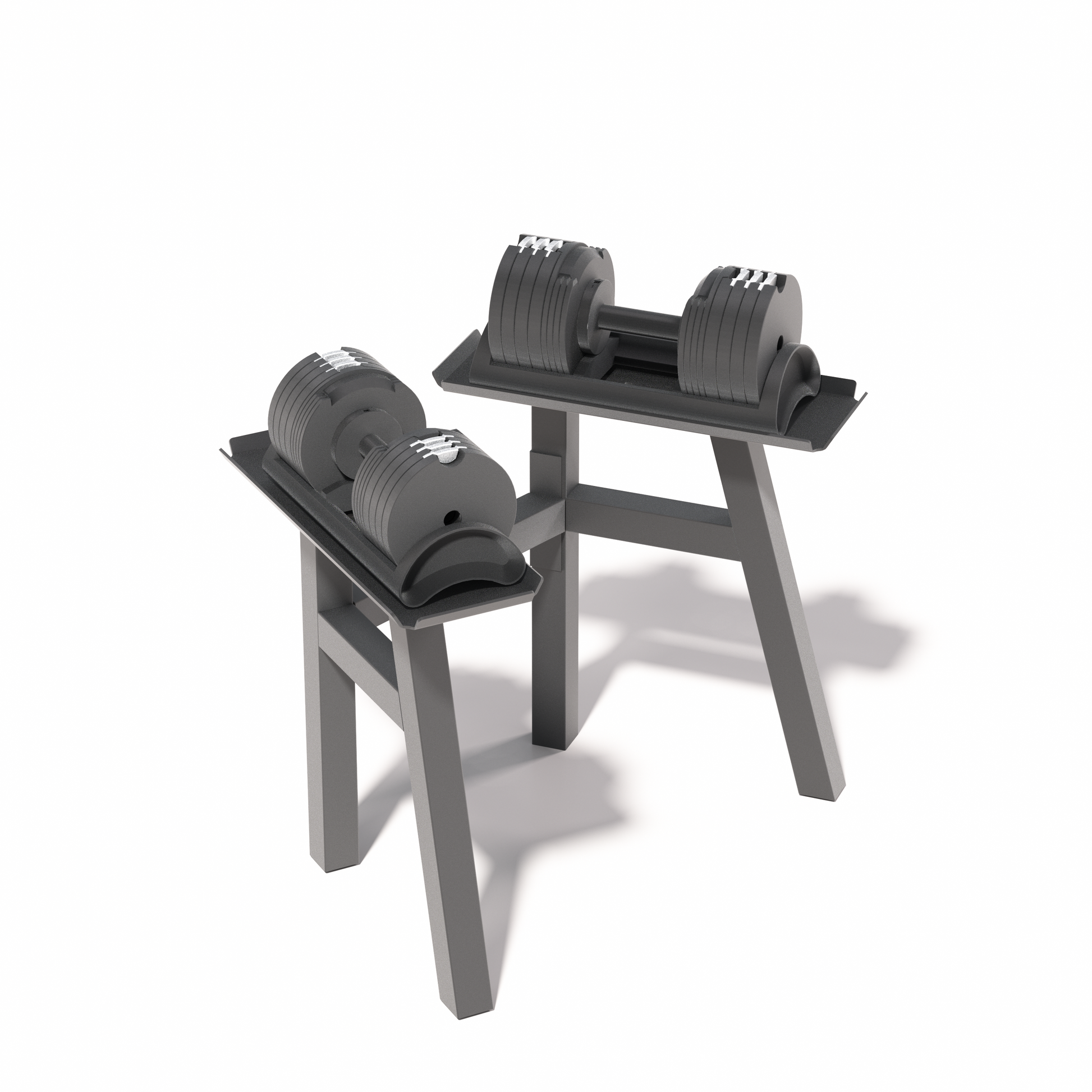 adjustable dumbbells 40kg  rack