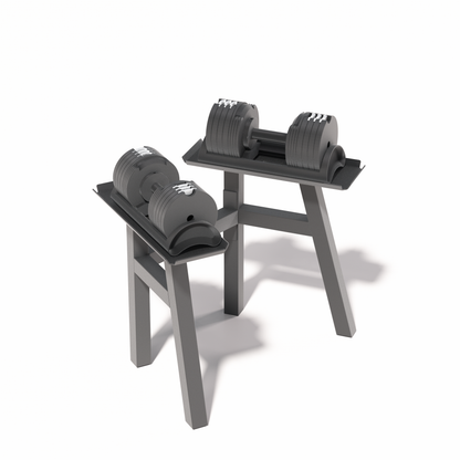 adjustable dumbbells 40kg  rack