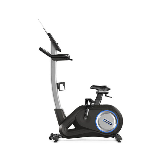 Horizon Paros Pro Upright Exercise Bike