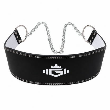 gymking dipping belt