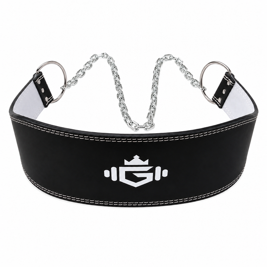 gymking dipping belt