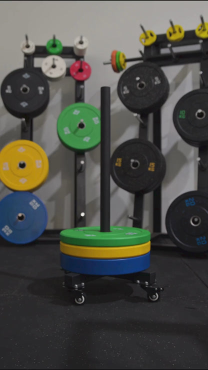 Vertical Bumper Plate Rack