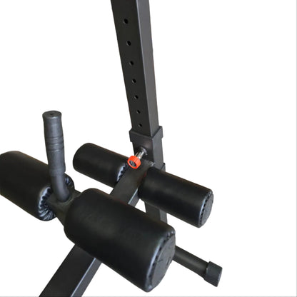 AFE Adjustable Sit Up Ab Bench – 12-Level Incline, 150kg Capacity